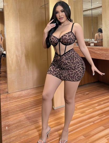 Léopard 🐆 mini 🤎